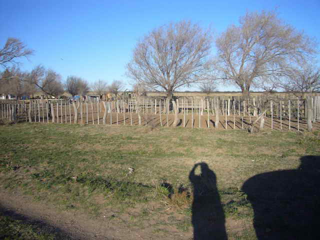 -www.estanciascampos.com.ar-Buenos Aires-Puan-3330 ha-ganadero-40% agricola-