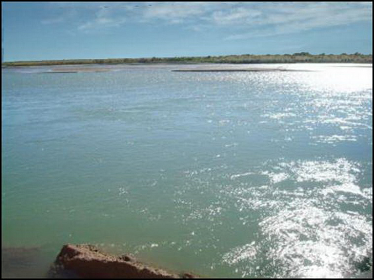 7428 ha. con riego en Lihuel Calel (Rio Negro)