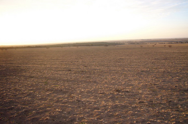 15000 ha. en General Acha (La Pampa)