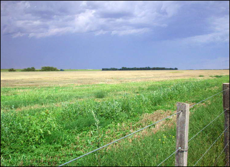 www.estanciascampos.com.ar-La Pampa-Guatrache-2400 ha-mixto limpio- www.estanciascampos.com.ar-La Pampa-Guatrache-2400 ha-mixto limpio-