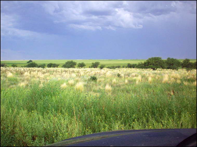 www.estanciascampos.com.ar-La Pampa-Guatrache-2400 ha-mixto limpio- www.estanciascampos.com.ar-La Pampa-Guatrache-2400 ha-mixto limpio-