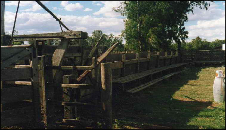 www.estanciascampos.com.ar-La Pampa-Guatrache-2400 ha-mixto limpio- www.estanciascampos.com.ar-La Pampa-Guatrache-2400 ha-mixto limpio-