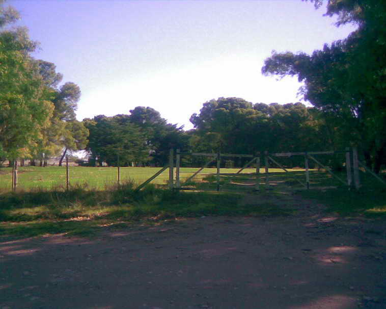 201 ha. en Pigue (BA)