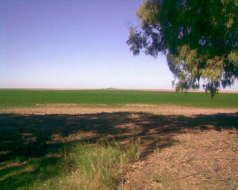 201 ha. en Pigue (BA)