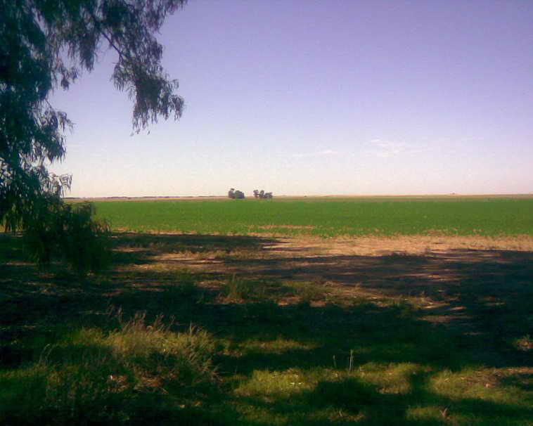 201 ha. en Pigue (BA)