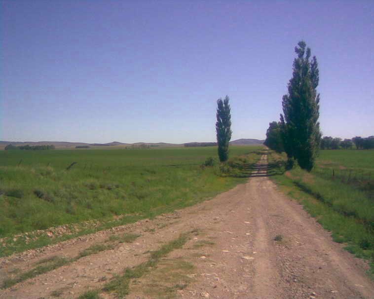 201 ha. en Pigue (BA)