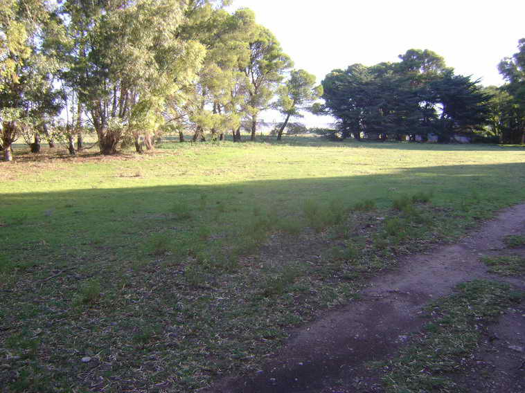 201 ha. en Pigue (BA)
