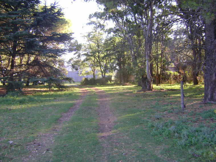 201 ha. en Pigue (BA)