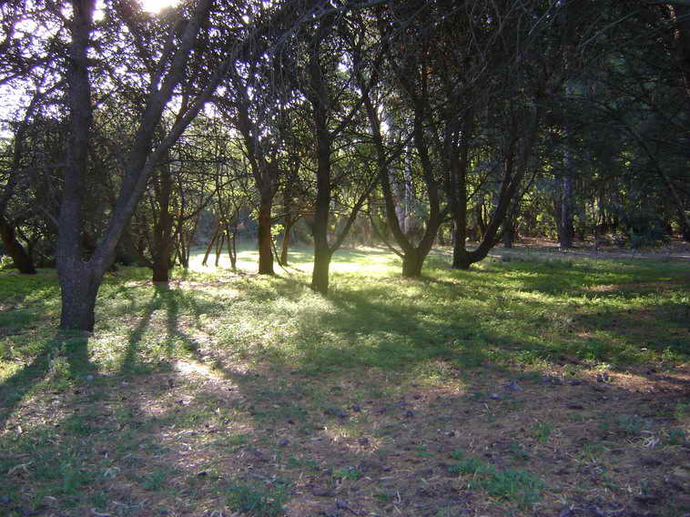 201 ha. en Pigue (BA)