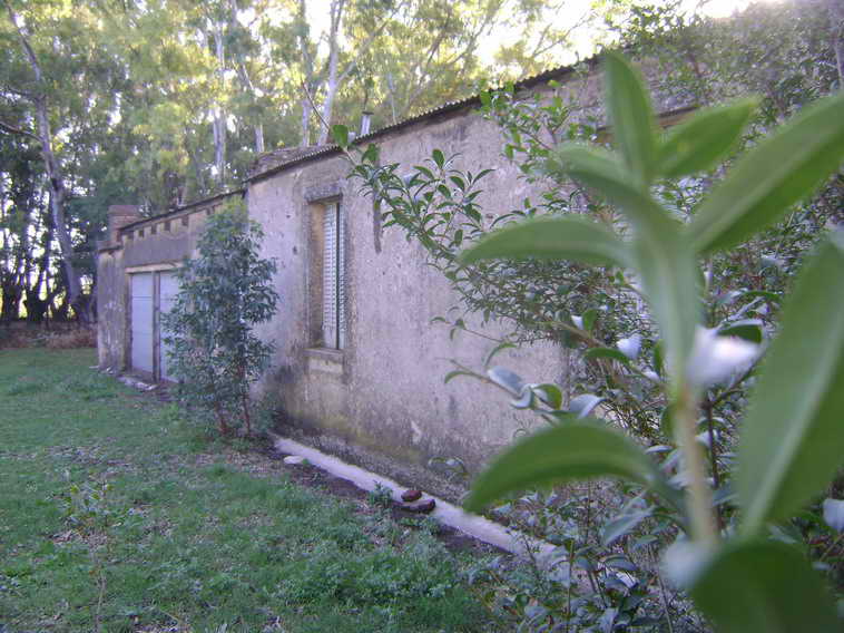 201 ha. en Pigue (BA)