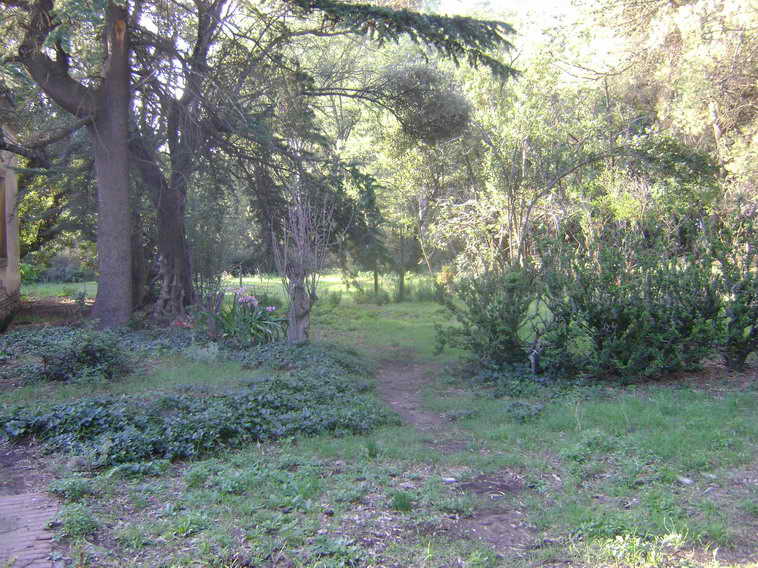 201 ha. en Pigue (BA)