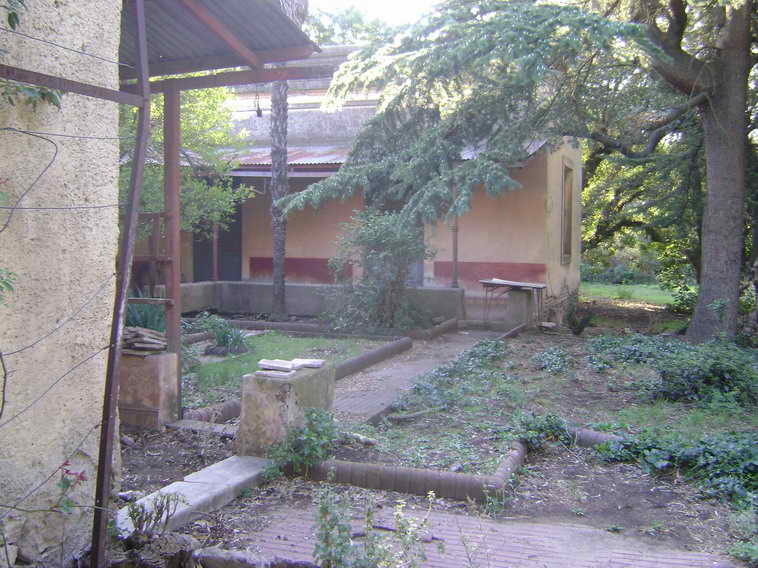 201 ha. en Pigue (BA)