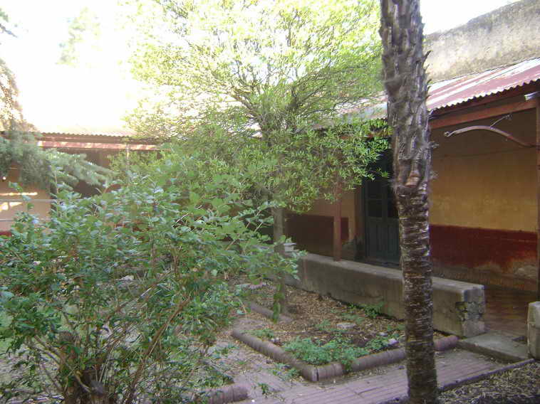 201 ha. en Pigue (BA)