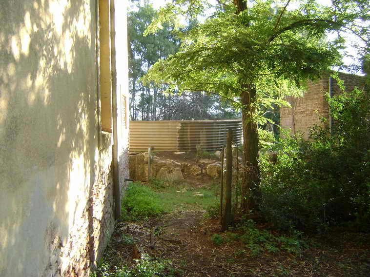 201 ha. en Pigue (BA)