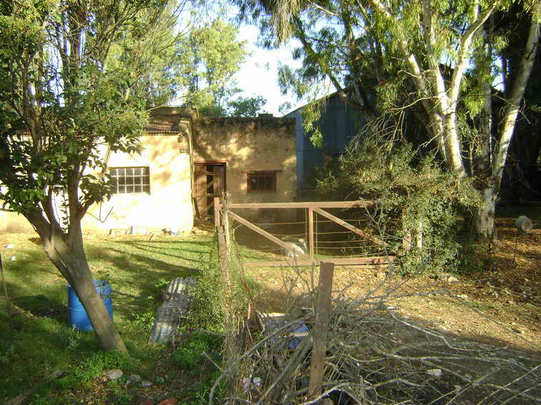201 ha. en Pigue (BA)