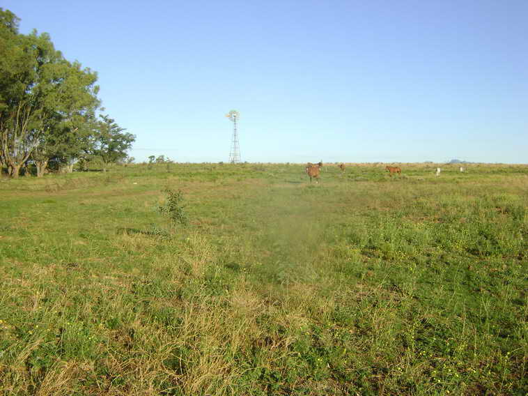 201 ha. en Pigue (BA)