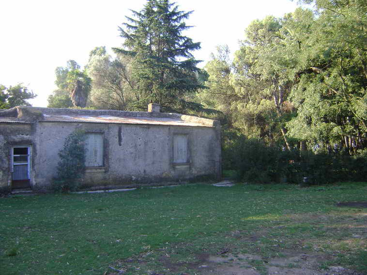 201 ha. en Pigue (BA)