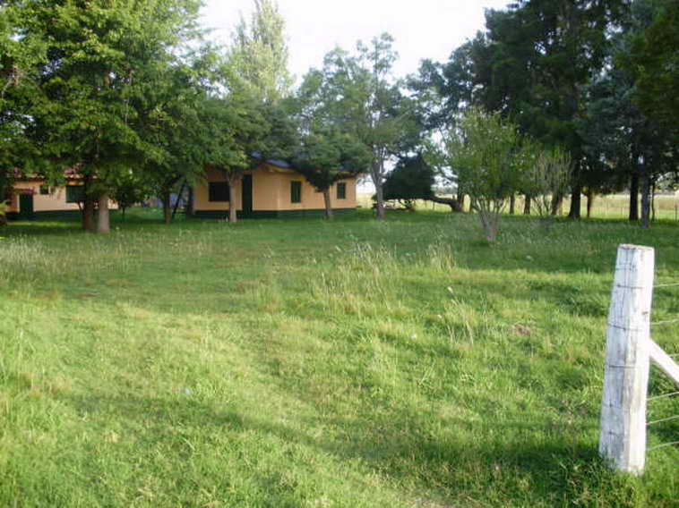 www.estanciascampos.com.ar-Buenos Aires-Las Flores-100 ha-agricola,forestal- www.estanciascampos.com.ar-Buenos Aires-Las Flores-100 ha-agricola,forestal-