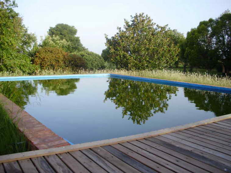 www.estanciascampos.com.ar-Buenos Aires-Las Flores-100 ha-agricola,forestal- www.estanciascampos.com.ar-Buenos Aires-Las Flores-100 ha-agricola,forestal-