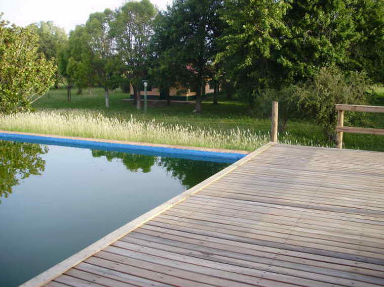 www.estanciascampos.com.ar-Buenos Aires-Las Flores-100 ha-agricola,forestal- www.estanciascampos.com.ar-Buenos Aires-Las Flores-100 ha-agricola,forestal-