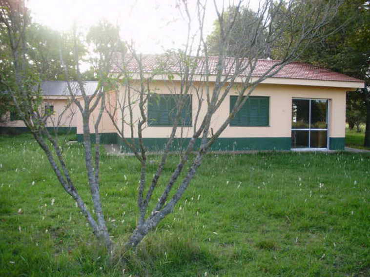 www.estanciascampos.com.ar-Buenos Aires-Las Flores-100 ha-agricola,forestal- www.estanciascampos.com.ar-Buenos Aires-Las Flores-100 ha-agricola,forestal-