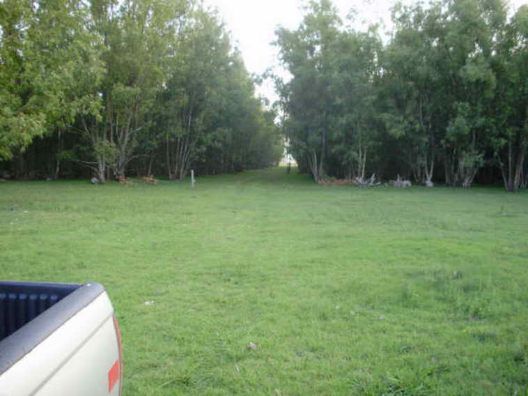 www.estanciascampos.com.ar-Buenos Aires-Las Flores-100 ha-agricola,forestal- www.estanciascampos.com.ar-Buenos Aires-Las Flores-100 ha-agricola,forestal-