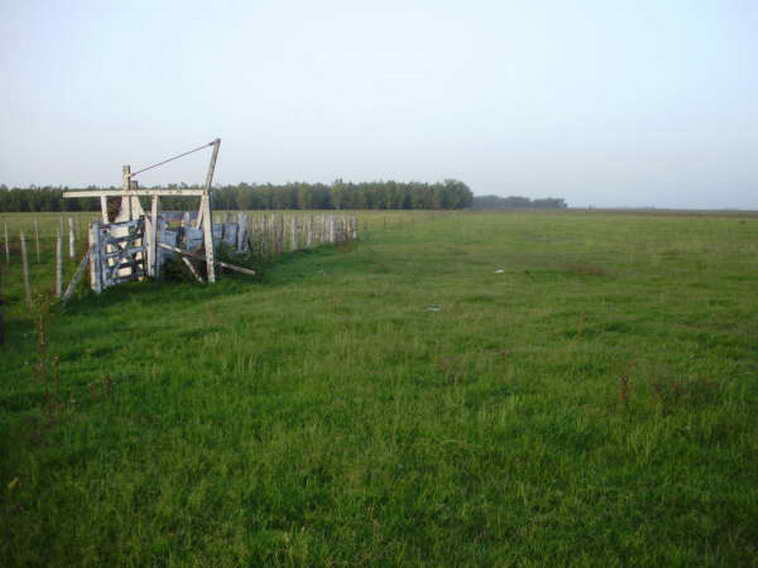 www.estanciascampos.com.ar-Buenos Aires-Las Flores-100 ha-agricola,forestal- www.estanciascampos.com.ar-Buenos Aires-Las Flores-100 ha-agricola,forestal-