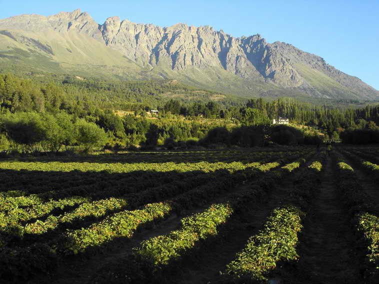 www.estanciascampos.com.ar-Chubut-Lago Puelo-9 ha-Muy Hermoso- www.estanciascampos.com.ar-Chubut-Lago Puelo-9 ha-Muy Hermoso-