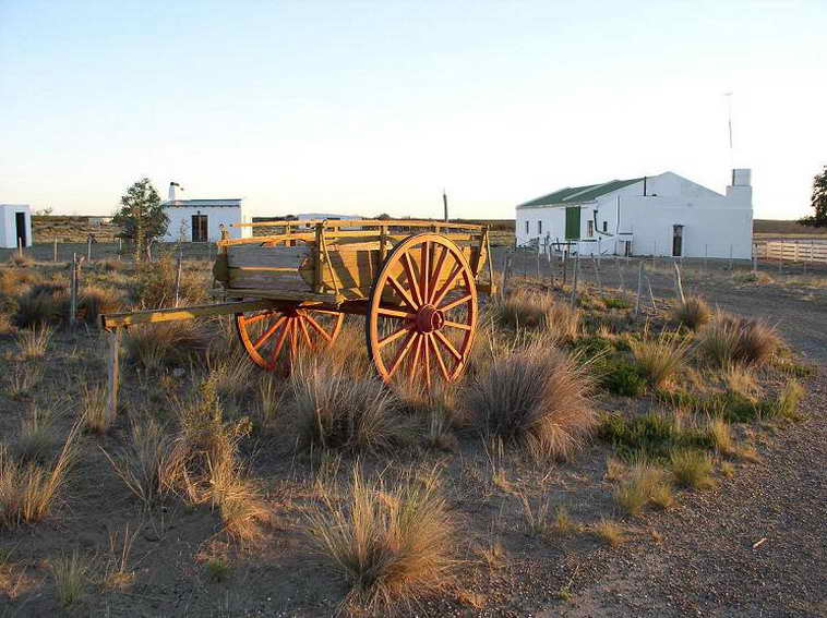 www.estanciascampos.com.ar-Chubut-Golfo Nuevo-11500 ha-ganadero-