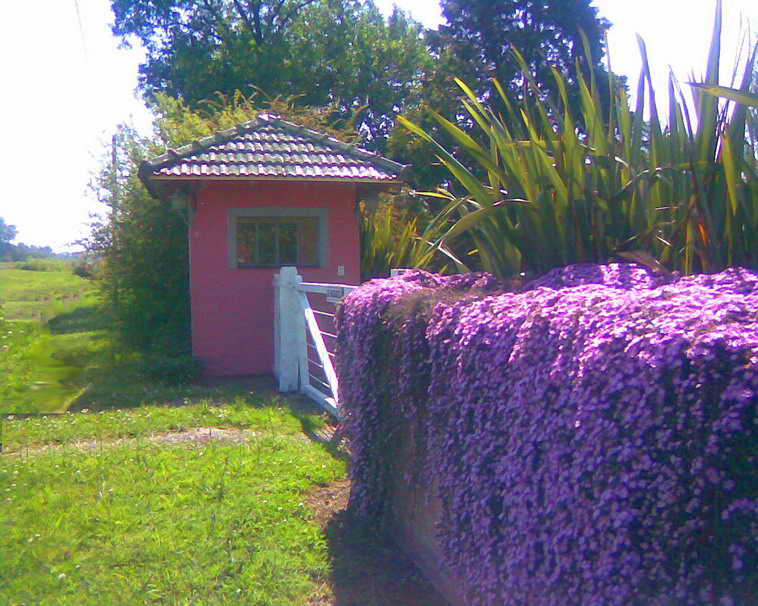 detalle de 18 ha en San Vicente