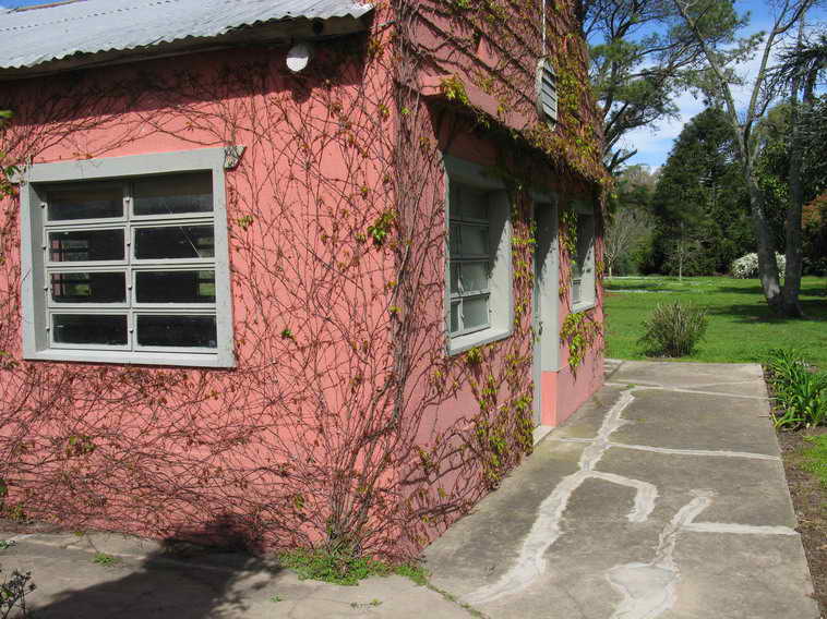 detalle de 18 ha en San Vicente