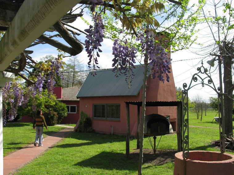 detalle de 18 ha en San Vicente