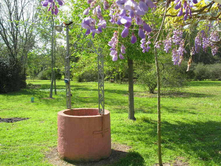detalle de 18 ha en San Vicente