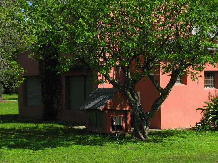 detalle de 18 ha en San Vicente