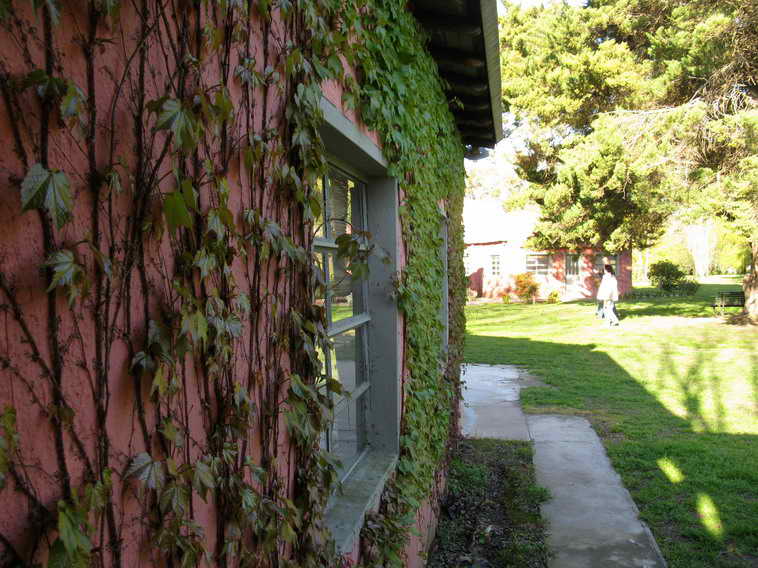 detalle de 18 ha en San Vicente