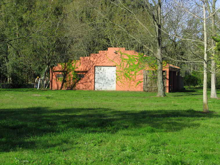 detalle de 18 ha en San Vicente