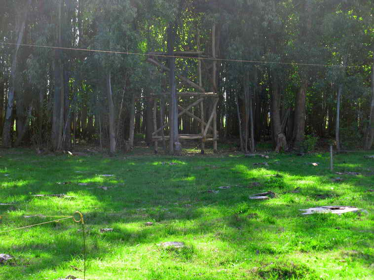 detalle de 18 ha en San Vicente