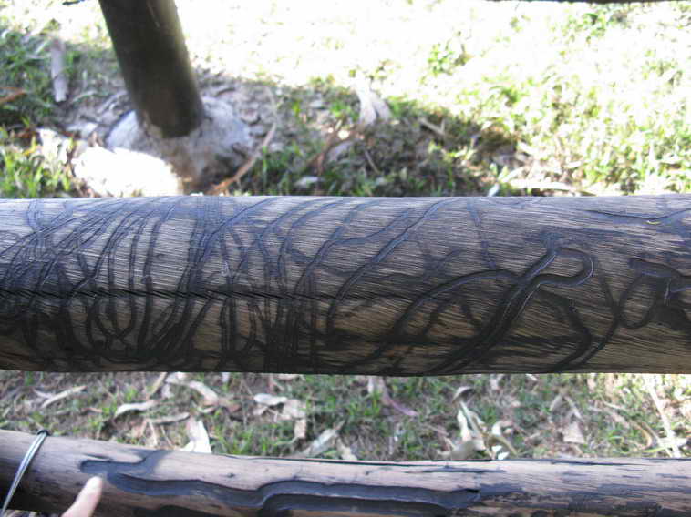 detalle de 18 ha en San Vicente