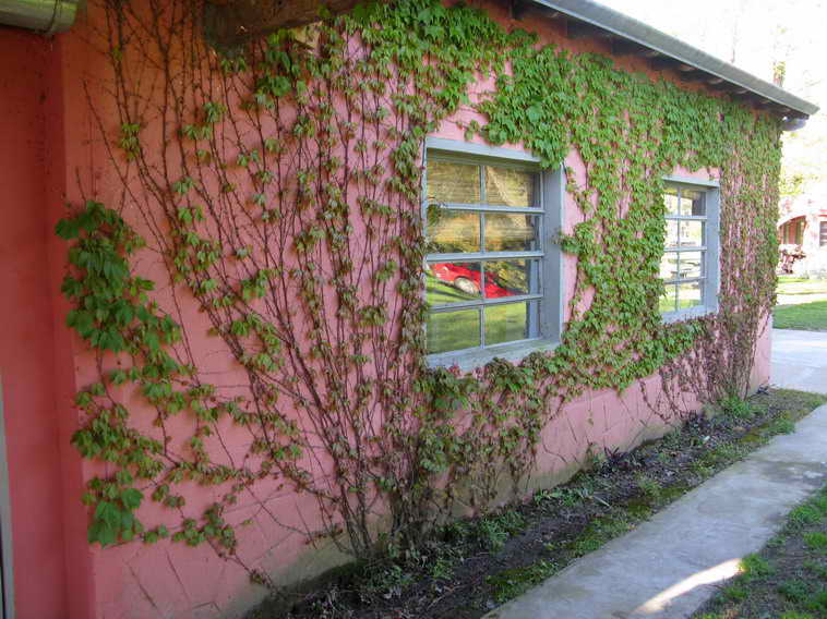 detalle de 18 ha en San Vicente