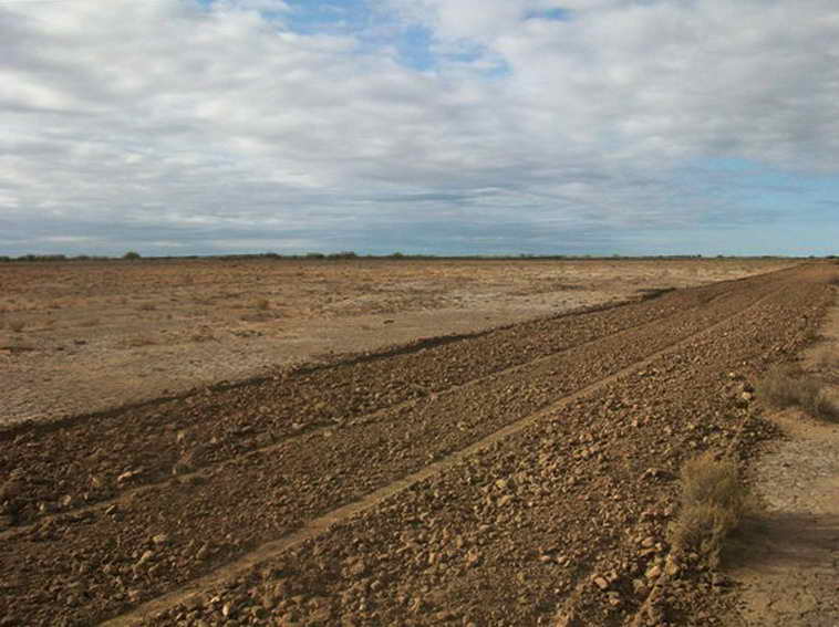 628 ha. en Caucete – Camarico (San Juan)