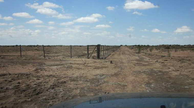 628 ha. en Caucete – Camarico (San Juan)