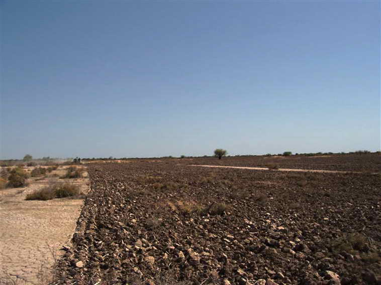 628 ha. en Caucete – Camarico (San Juan)