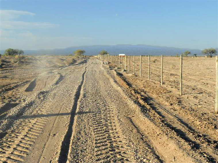 628 ha. en Caucete – Camarico (San Juan)