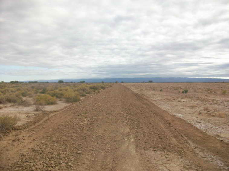628 ha. en Caucete – Camarico (San Juan)