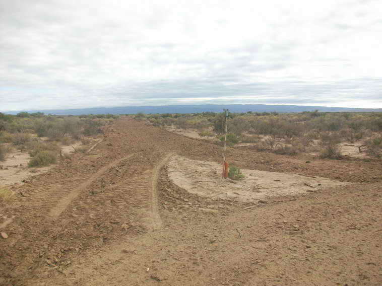 628 ha. en Caucete – Camarico (San Juan)