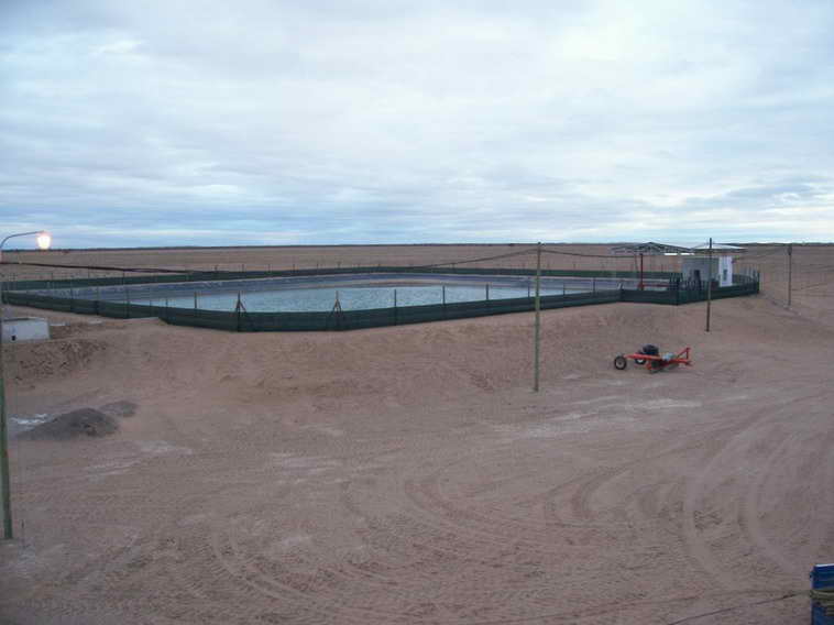 628 ha. en Caucete – Camarico (San Juan)