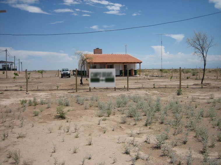 628 ha. en Caucete – Camarico (San Juan)