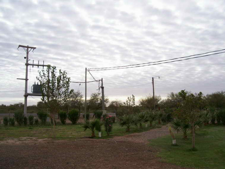 628 ha. en Caucete – Camarico (San Juan)