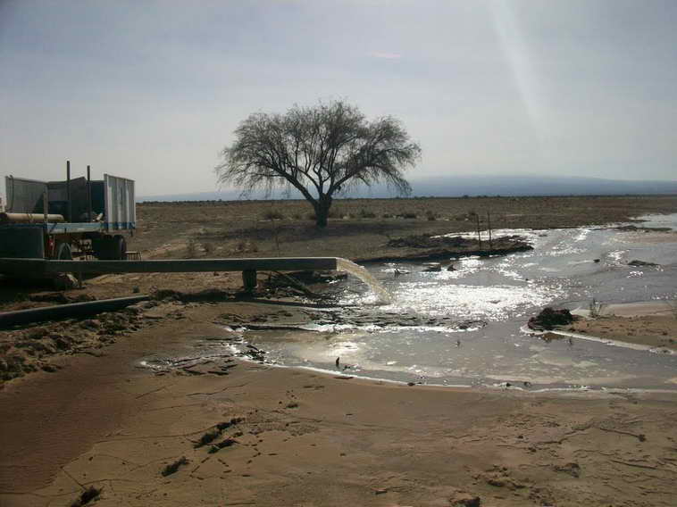 628 ha. en Caucete – Camarico (San Juan)