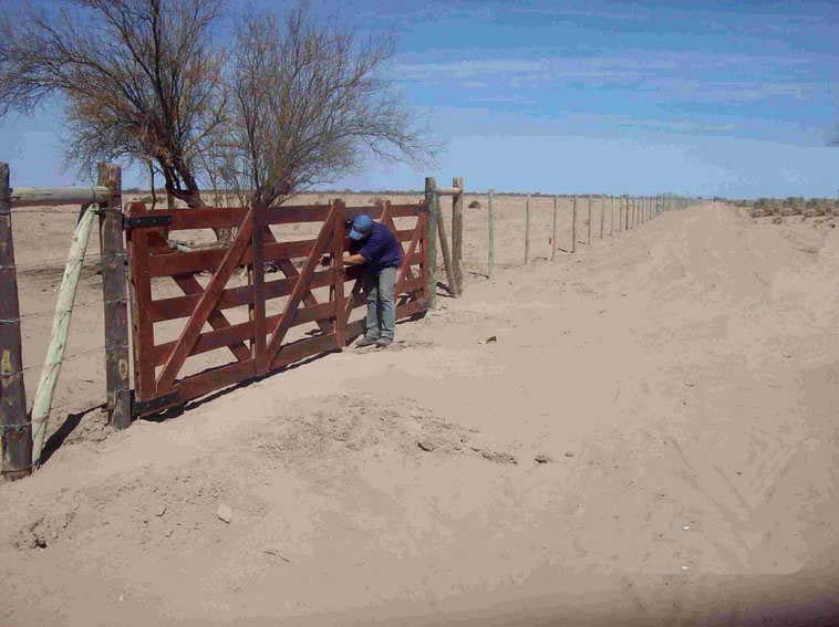 628 ha. en Caucete – Camarico (San Juan)